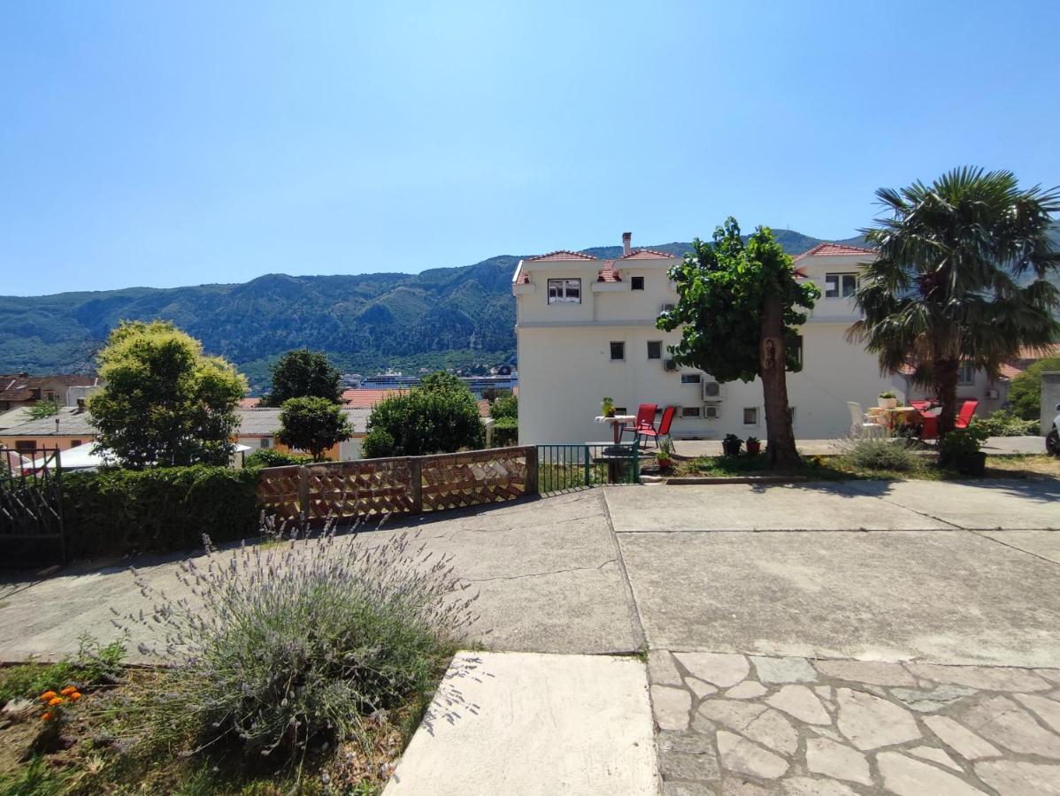 Zeljka-dobrota * Kotor