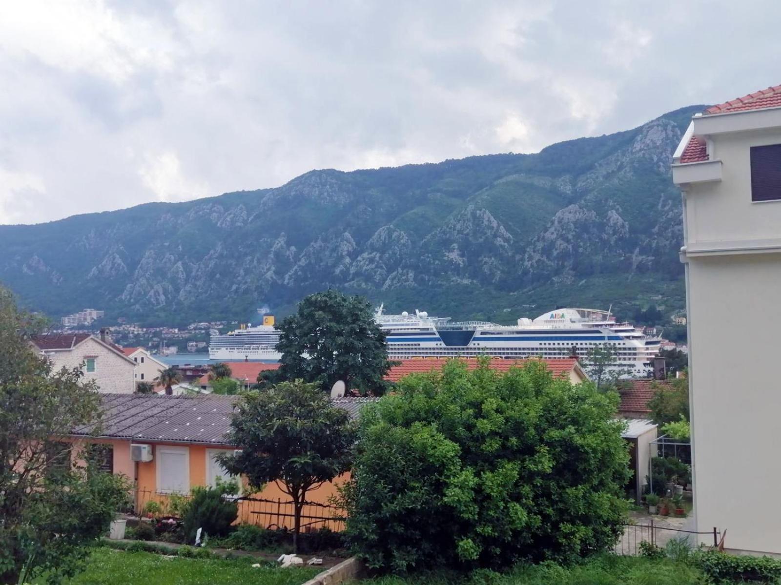 Zeljka-dobrota * Kotor