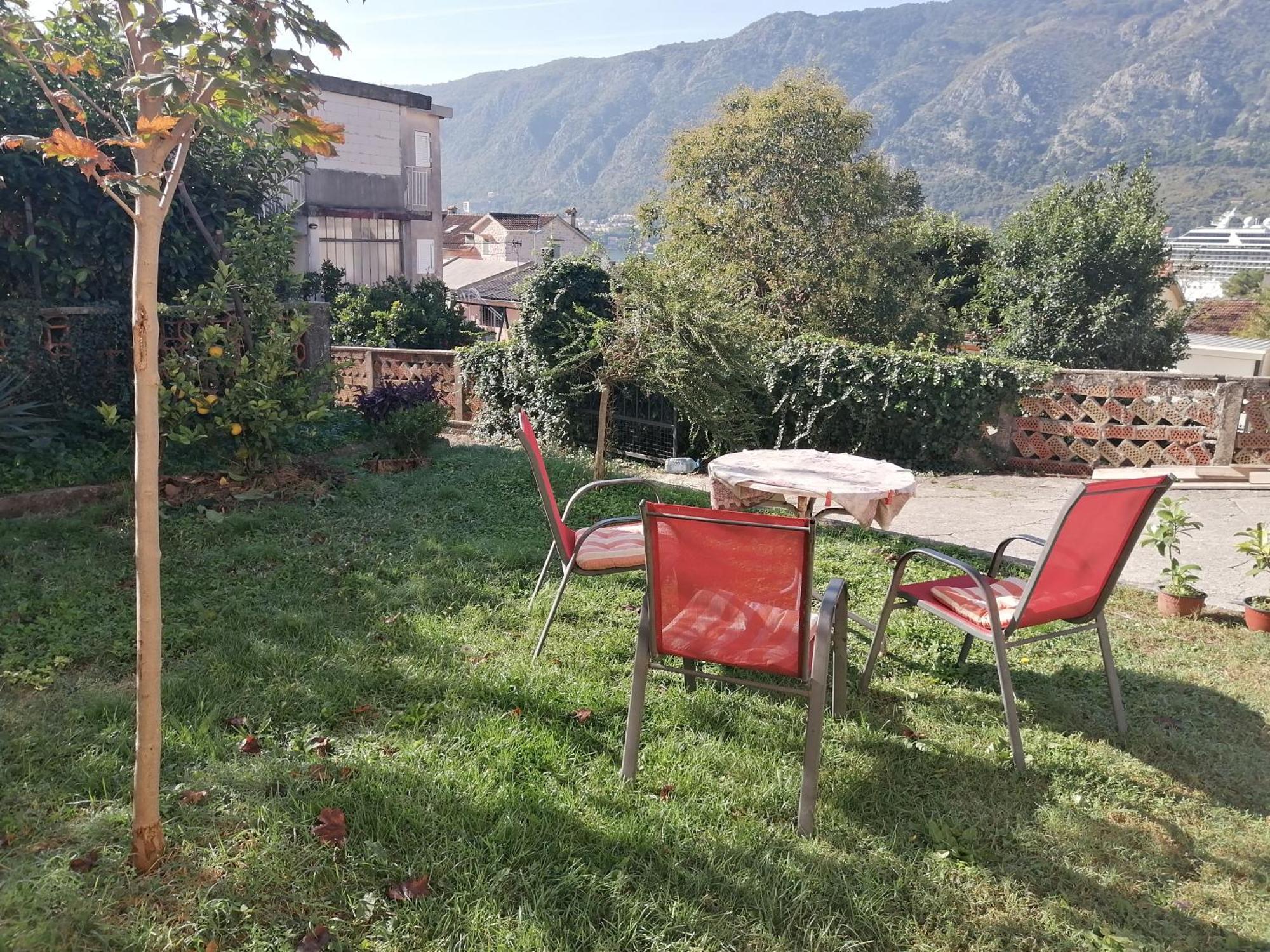 Zeljka-dobrota * Kotor